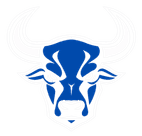 Blue Ox Services